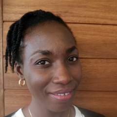 Dr Odewumi  Adegbija